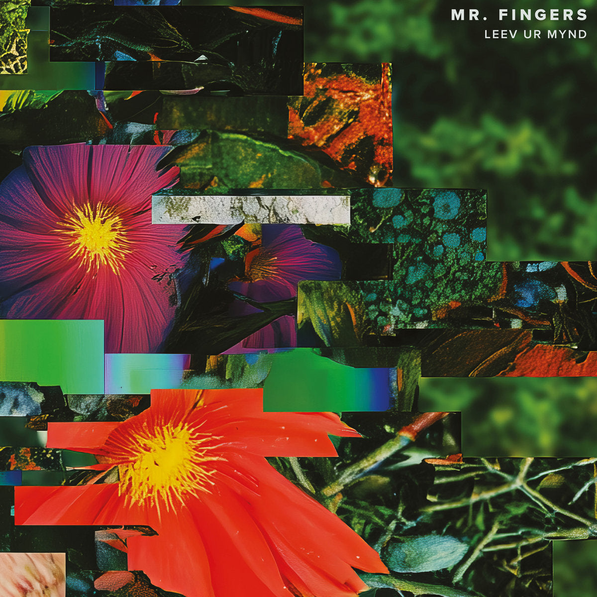 Mr. Fingers - Leev Ur Mynd (LP)