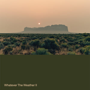 Whatever The Weather - Wahatever The Weather II (Dark Green LP)