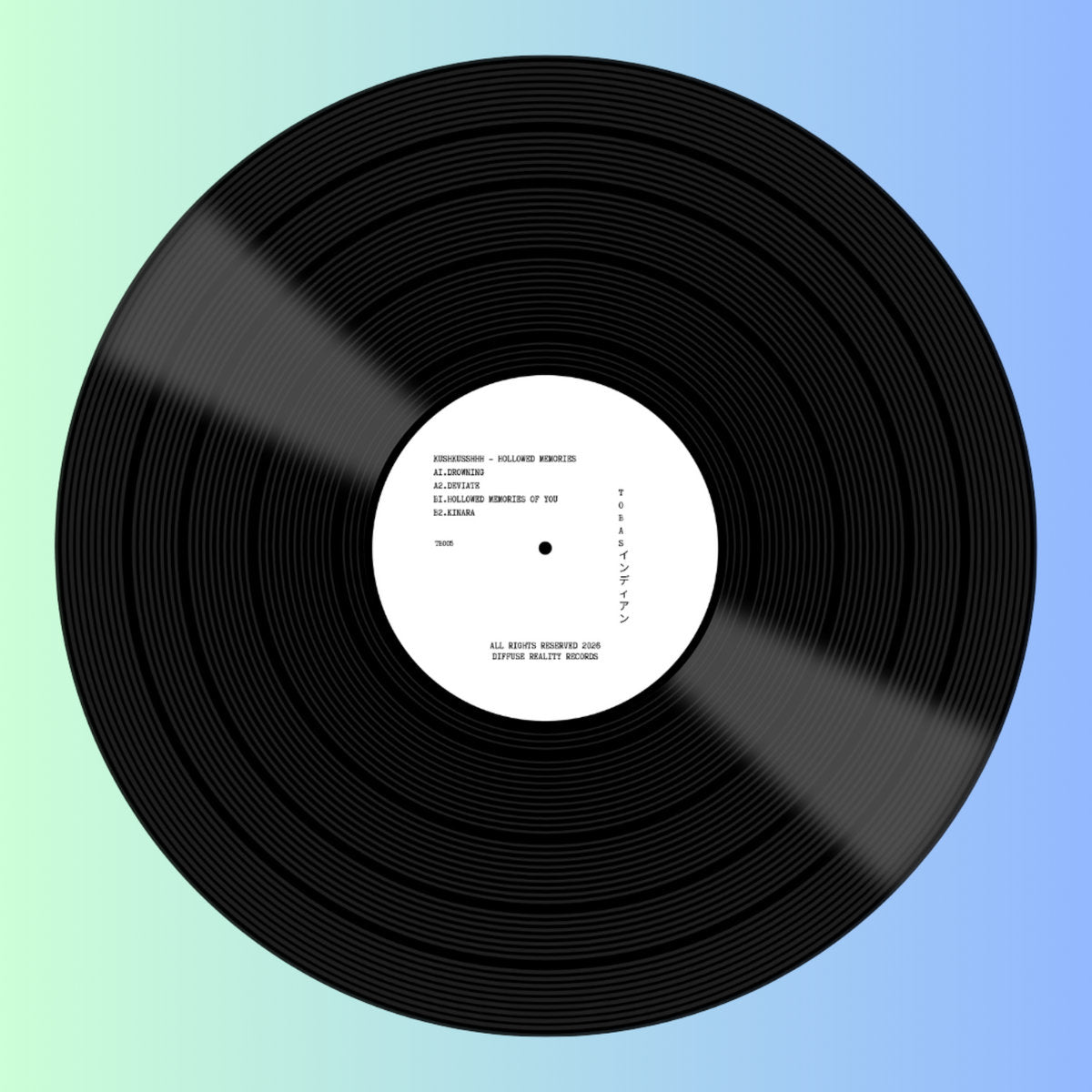 Kushkusshhh - Hollowed Memories (12")