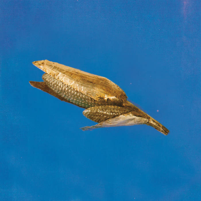 Or Sobre Blau - Making Friends (LP)