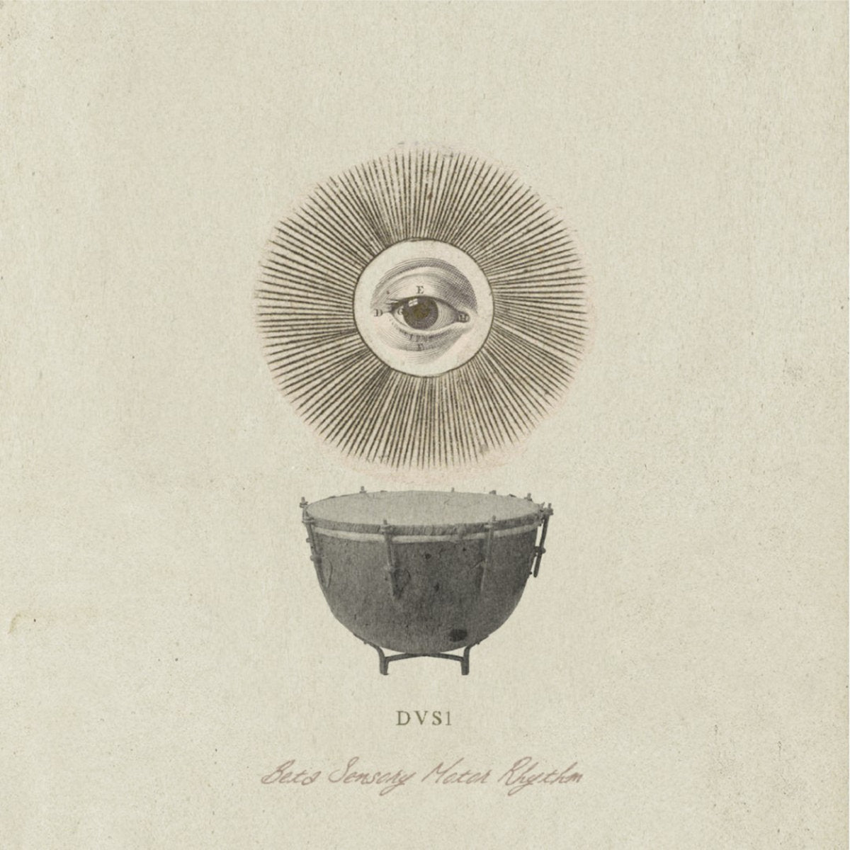 DVS1 - Beta Sensory Motor Rhythm (LP)