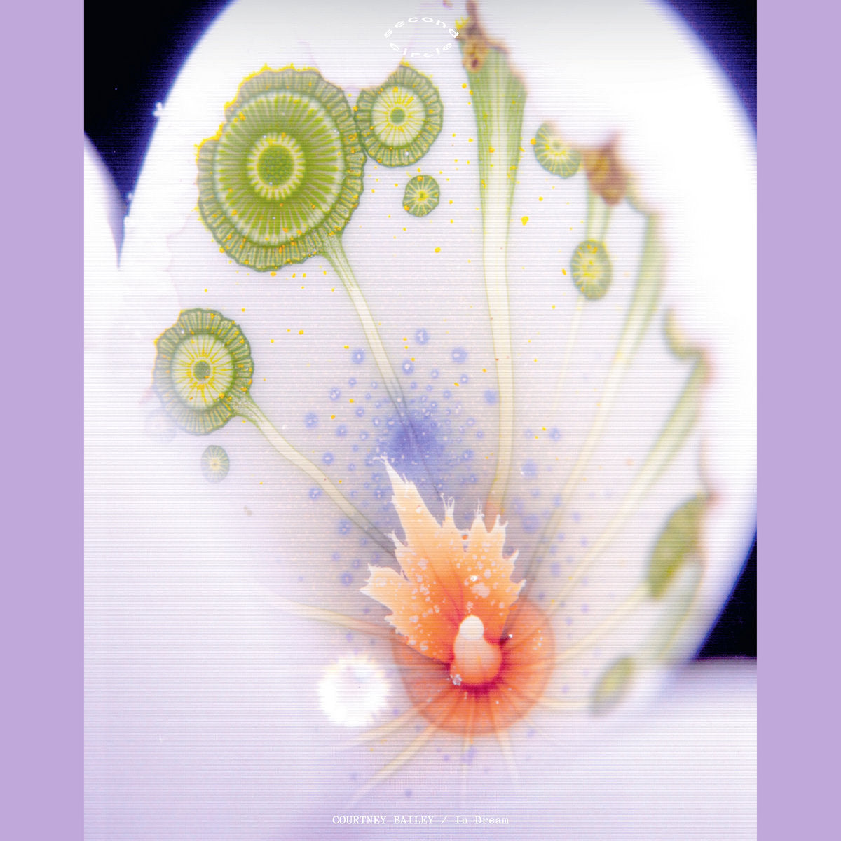 Courtney Bailey - In Dream (12")