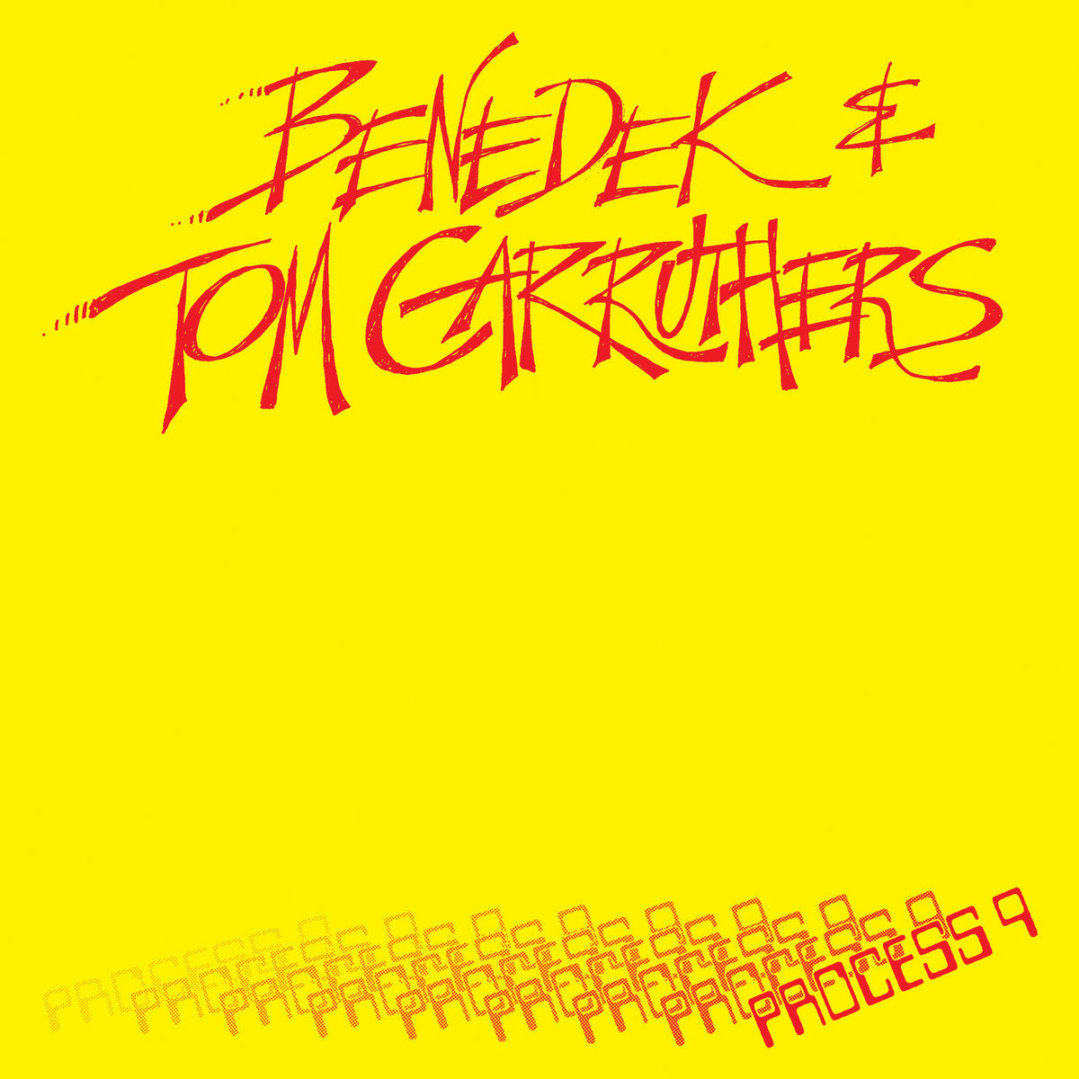 Benedek & Tom Carruthers - Process 9 (LP)