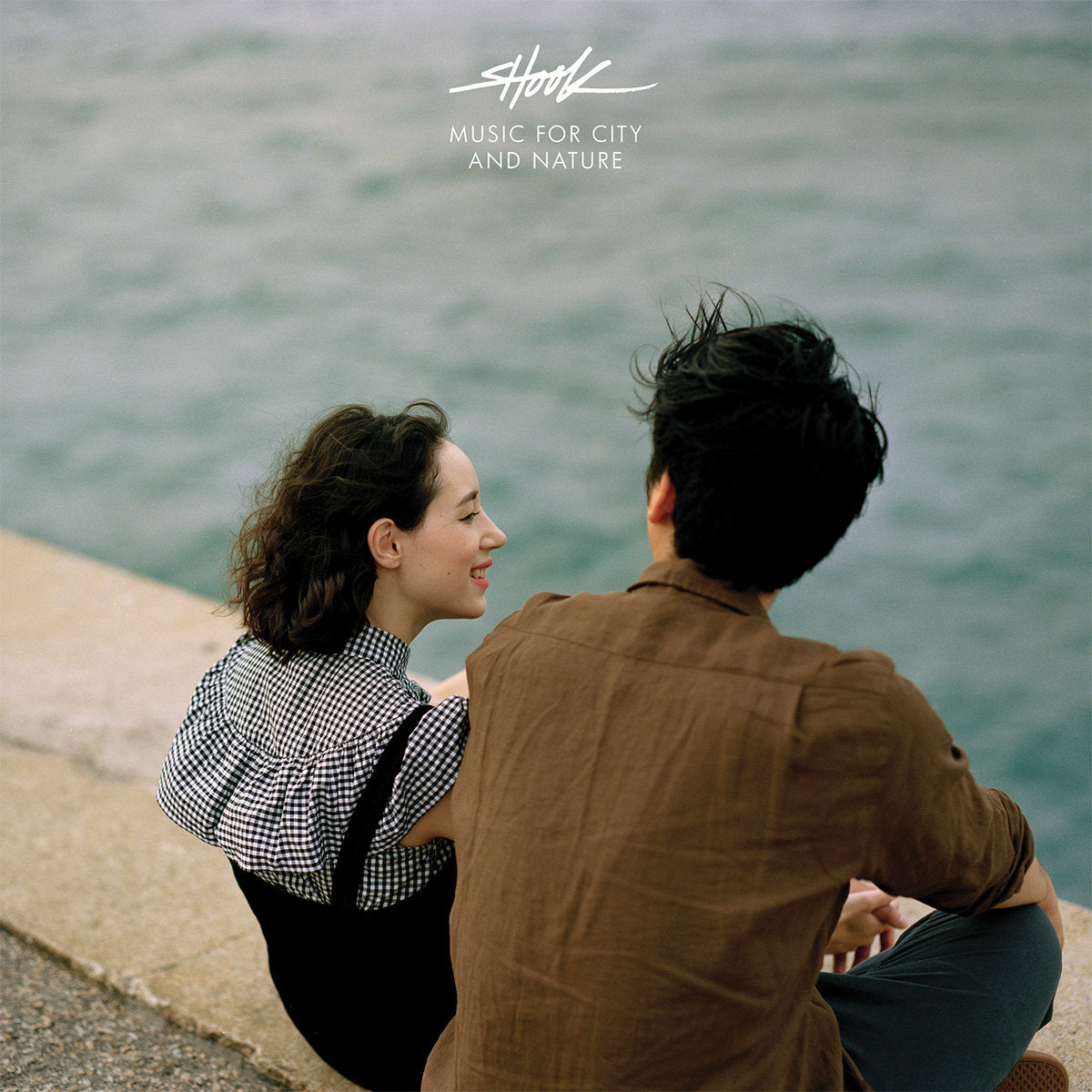 Shook - Music for City and Nature (LP)