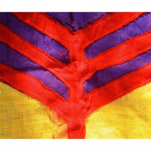 Yeah Yeah Yeahs - Show Your Bones (Coloured Vinyl   LP)