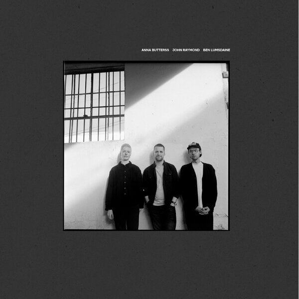 Anna Butterss & Ben Lumsdaine & John Raymond - Beginningless (LP)