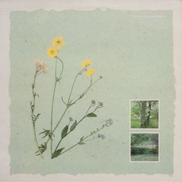 USED - Virginia Astley - From Gardens Where We Feel Secure