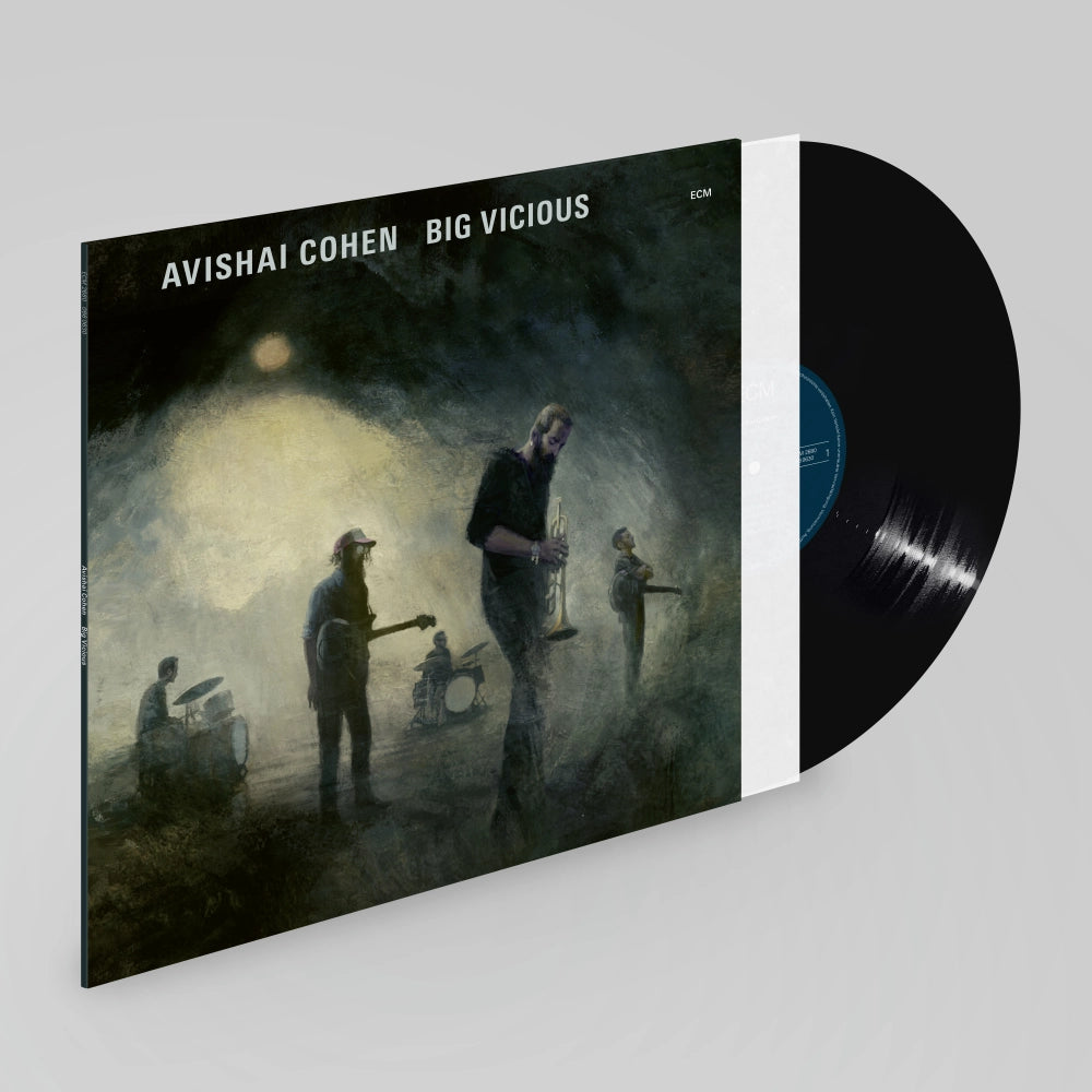 Avishai Cohen Big Vicious - Avishai Cohen Big Vicious