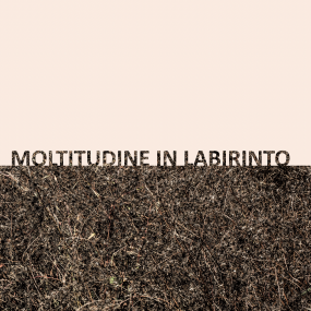 Gigi Masin & Giuseppe Caprioli - Moltitudine In Labirinto (LP)