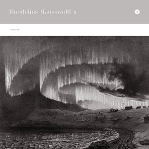 Roedelius Hausswolff - II