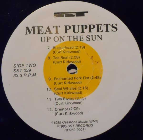 USED - Meat Puppets - Up On The Sun