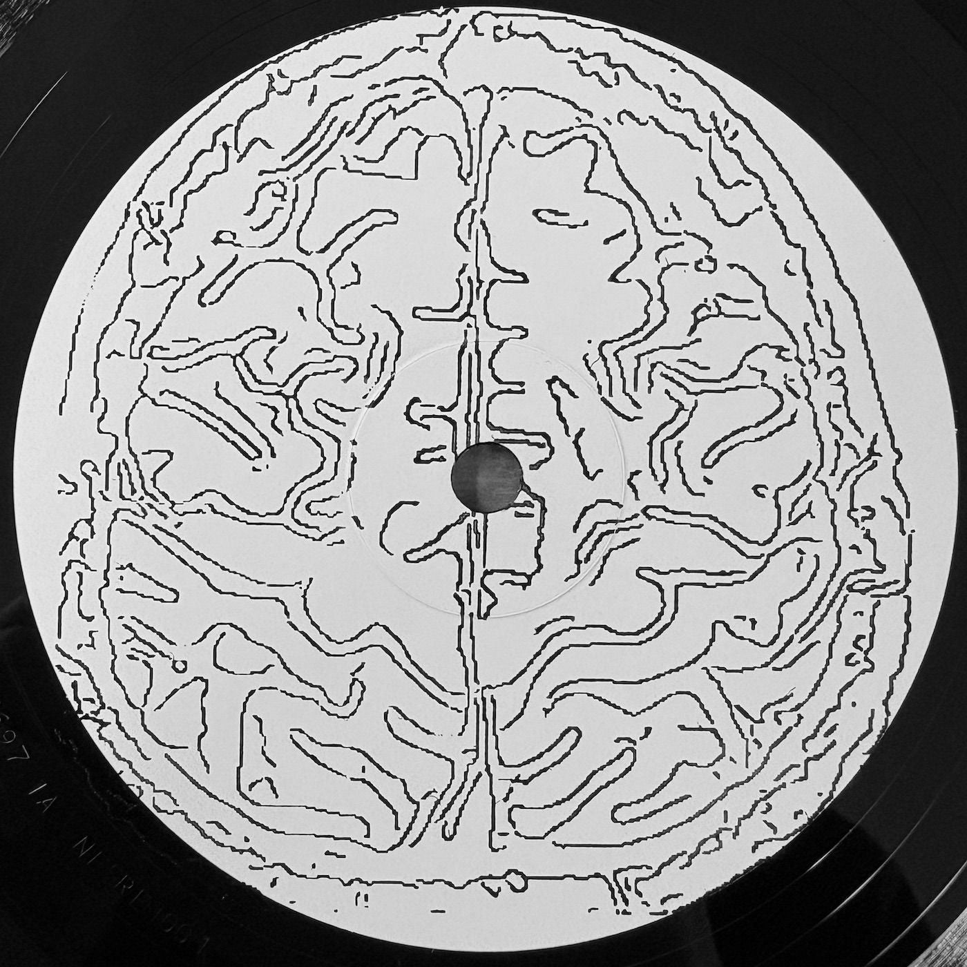 RDS - NESREH002 (12")