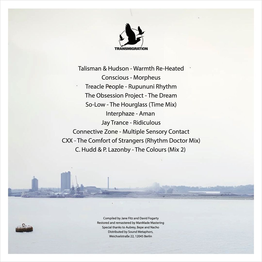 Various Artists - Mysterious Vastness (Music From East London And Riverside Essex In The 1990s) (LP)