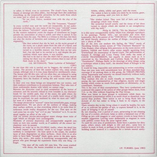 USED - Virgin Prunes - Heresie