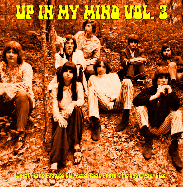 Various Artist - Up In My Mind Vol. 3: Even More Fuzzed Out Acid Tabs From The Lysergic '60s ()
