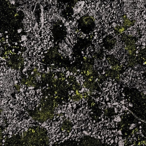 King Gizzard & the Lizard Wizard - Infest the Rats Nest (Green LP)