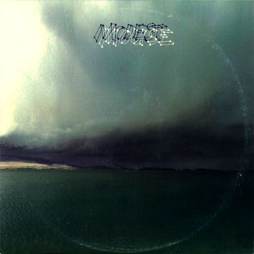 USED - Modest Mouse - The Fruit That Ate Itself