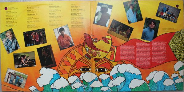 USED - The Beach Boys - Sunshine Dream
