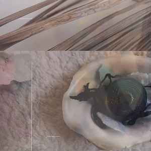 USED - Damien Dubrovnik - Great Many Arrows