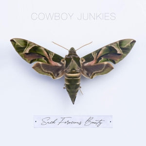 Cowboy Junkies - Such Ferocious Beauty (Tan Translucen Vinyl)