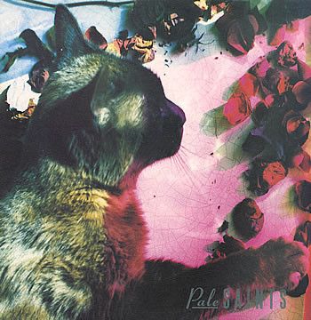 USED - Pale Saints - The Comforts Of Madness