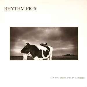 USED - Rhythm Pigs - I'm Not Crazy I'm An Airplane