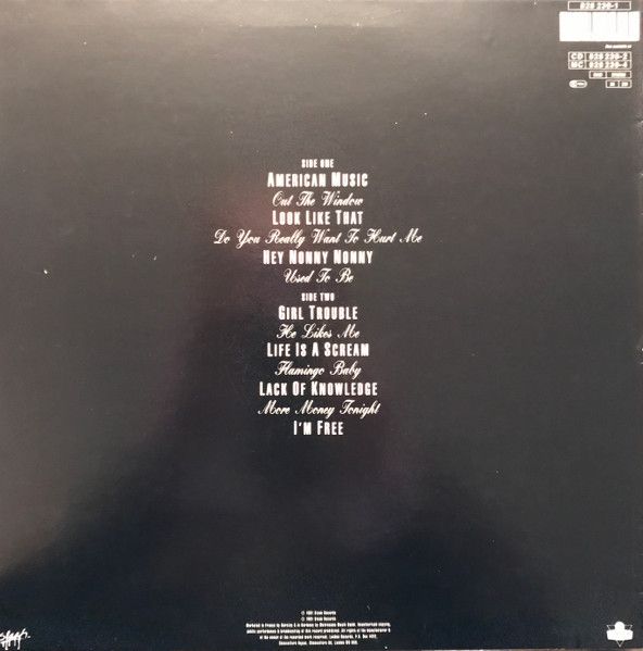 USED - Violent Femmes - Why Do Birds Sing?
