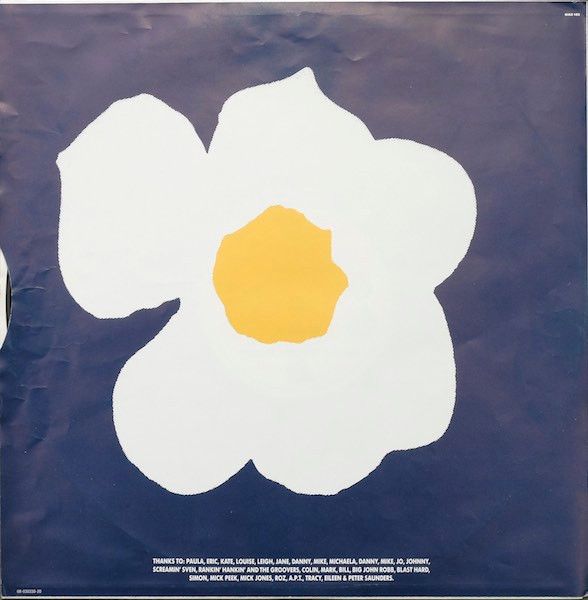 USED - New Fast Automatic Daffodils - Pigeonhole