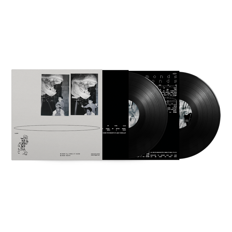 Vegyn - Only Diamonds Cut Diamonds (5 Year Anniversary Repress) (LP)