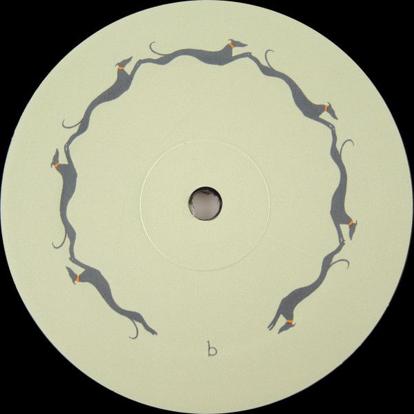USED - Vashti Bunyan - Lookaftering