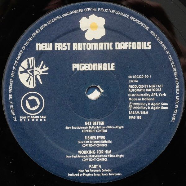 USED - New Fast Automatic Daffodils - Pigeonhole