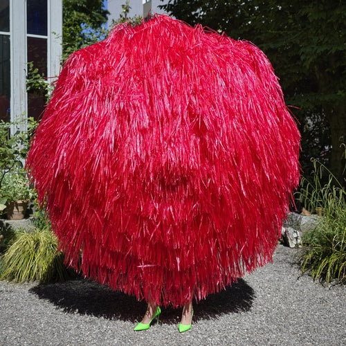 Stephan Eicher - Ode (Solid Red Vinyl)