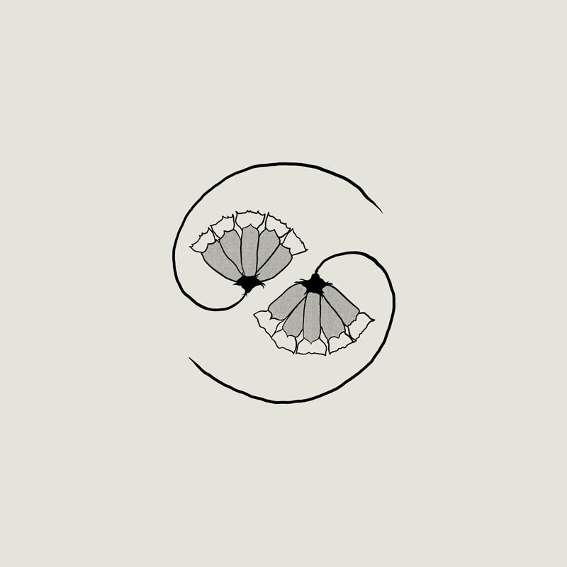 Godspeed You! Black Emperor - G_D'S Pee At State'S End