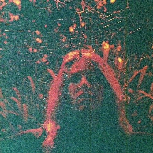 Turnover - Peripheral Vision (Clear Orange Vinyl)