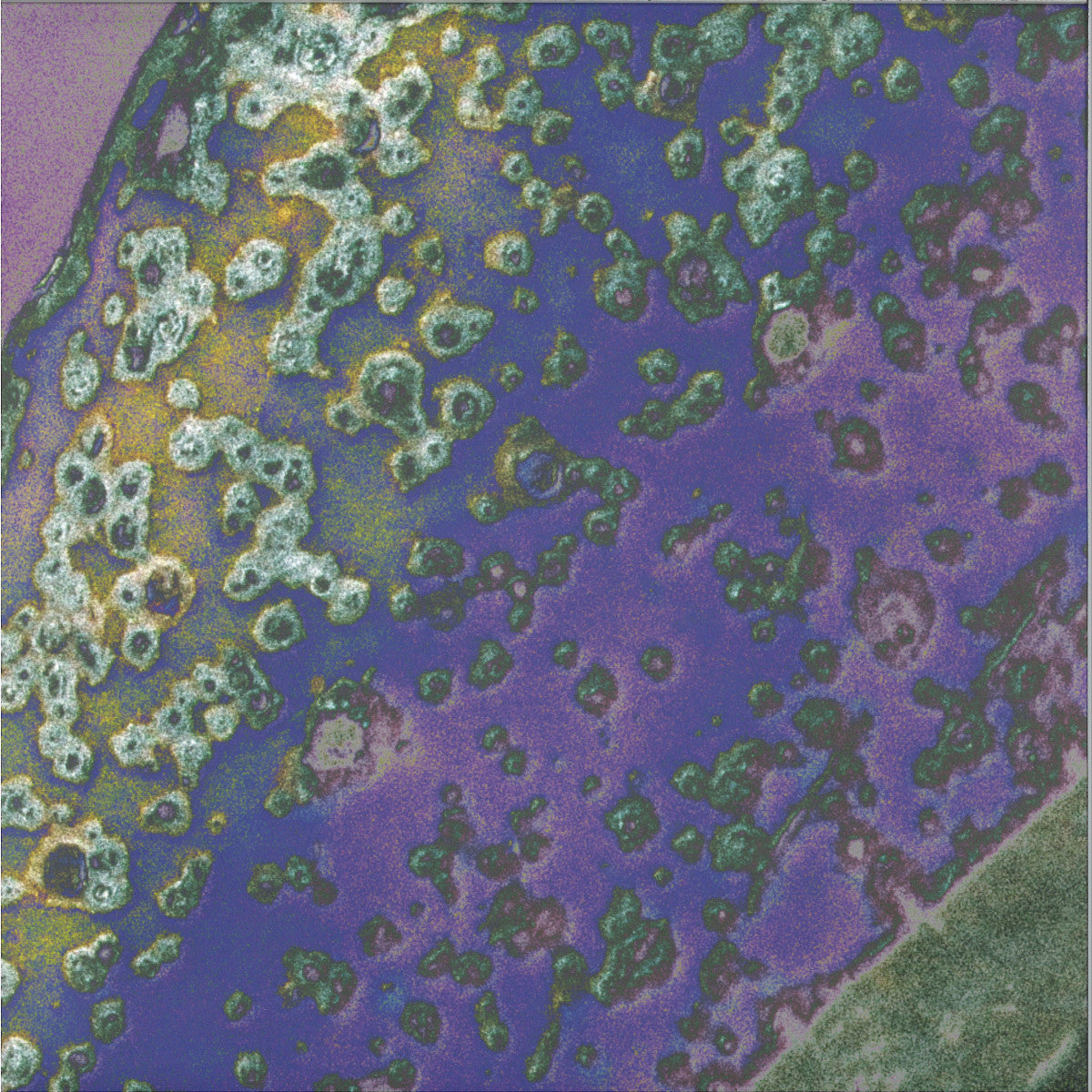 Various Artists - Nature's Structure