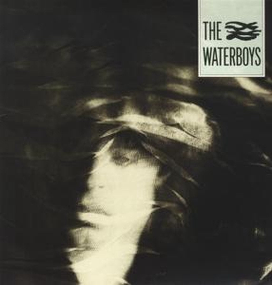 The Waterboys - The Waterboys (LP)