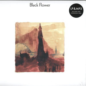 BLACK FLOWER - ARTIFACTS