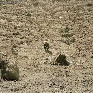 Ben Howard - Noonday Dream (LP)