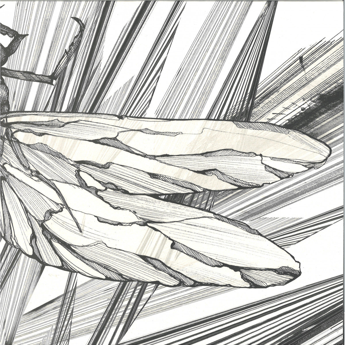 Faster - Transparency EP II