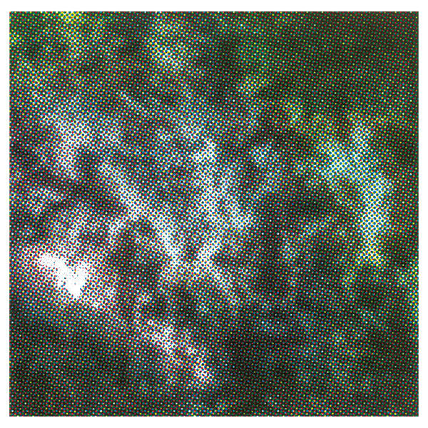 Keith Fullerton Whitman - GRM [Redactions] (17117) (Clear Vinyl)