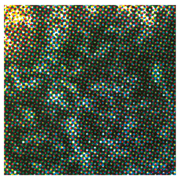 Keith Fullerton Whitman - Meakusma (Generators)