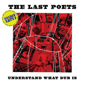 The Last Poets - Understand What Dub Is (Prince Fatty dubs)