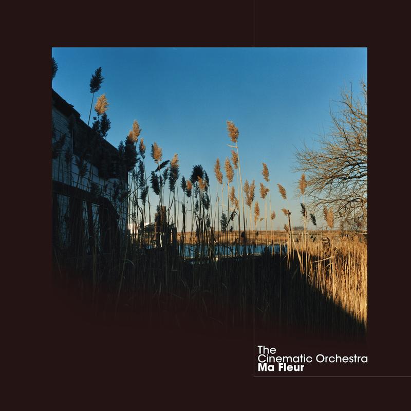 The Cinematic Orchestra - Ma Fleur (LP)