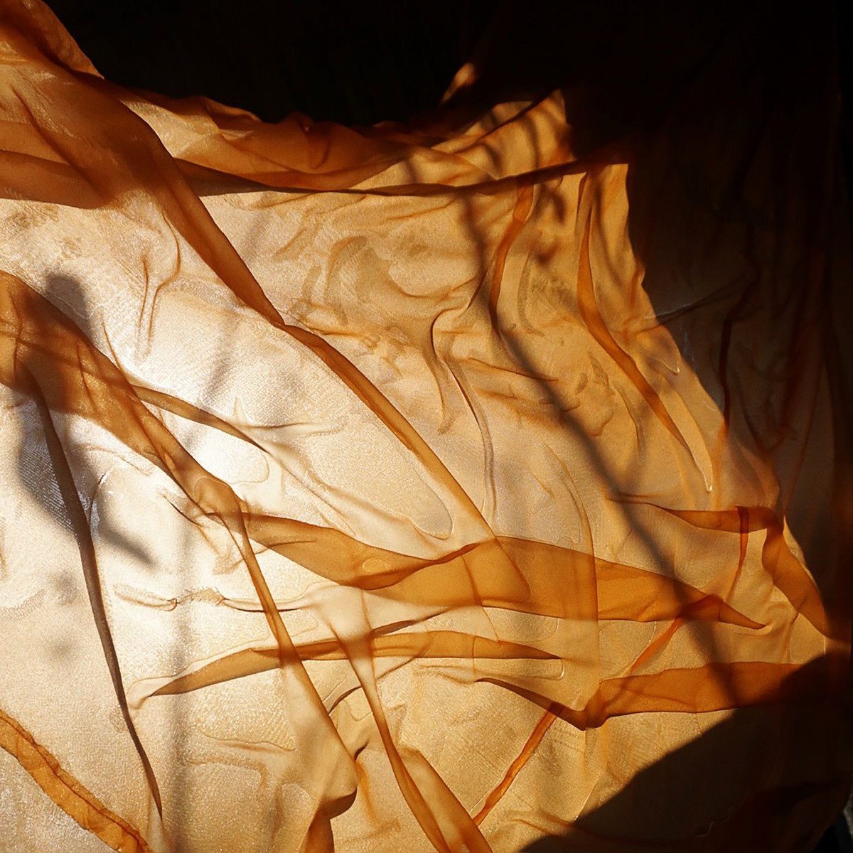 Interstellar Funk - Into the Echo