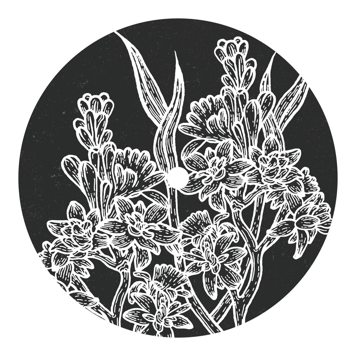 Alessandro Crimi - Moonward EP