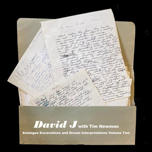 David J With Tim Newman - Analogue Excavations And Dream Interpretations Volume Two
