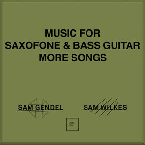 Sam Gendel / Sam Wilkes - Music For Saxophone And Bass Guitar More Songs