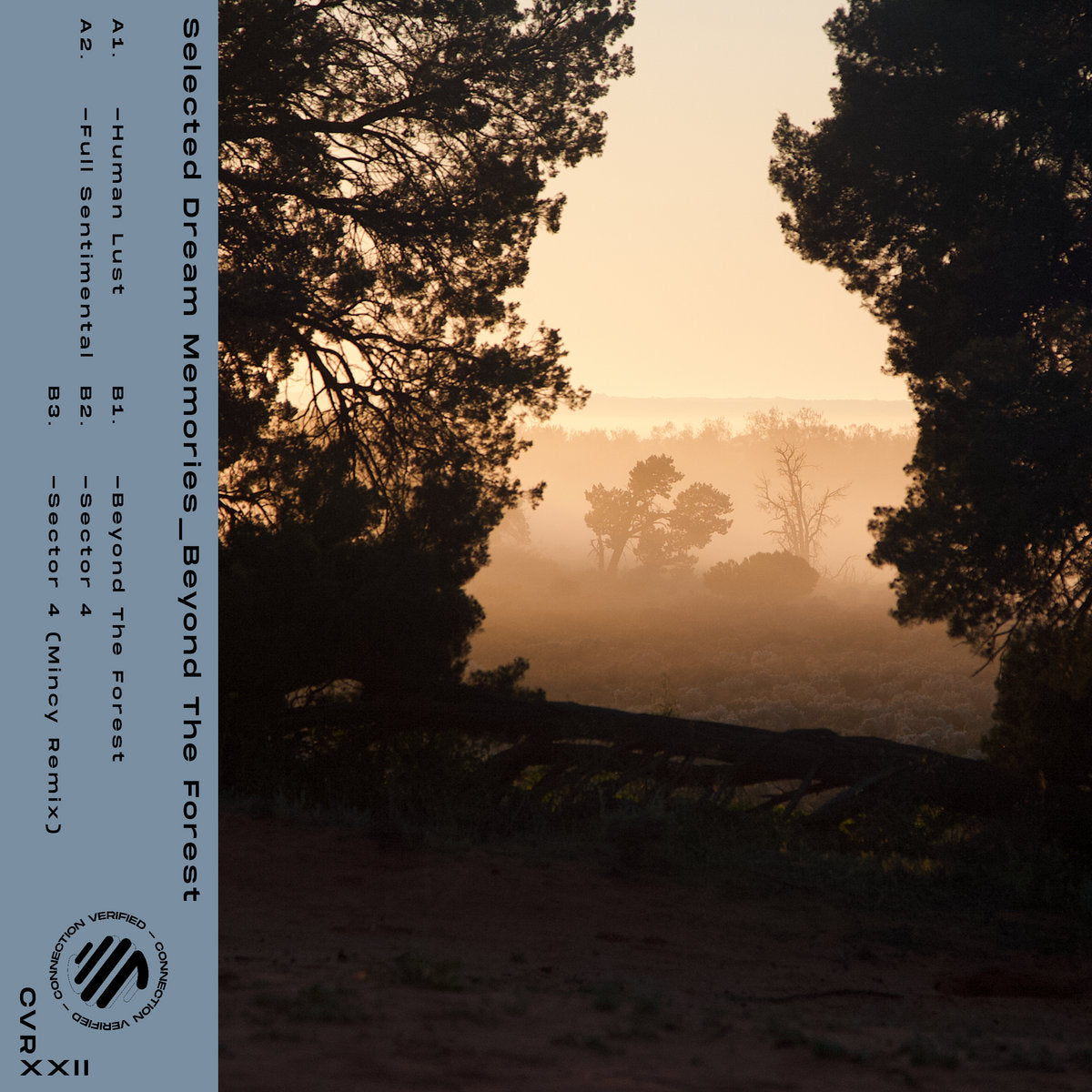 Selected Dream Memories - Beyond The Forest