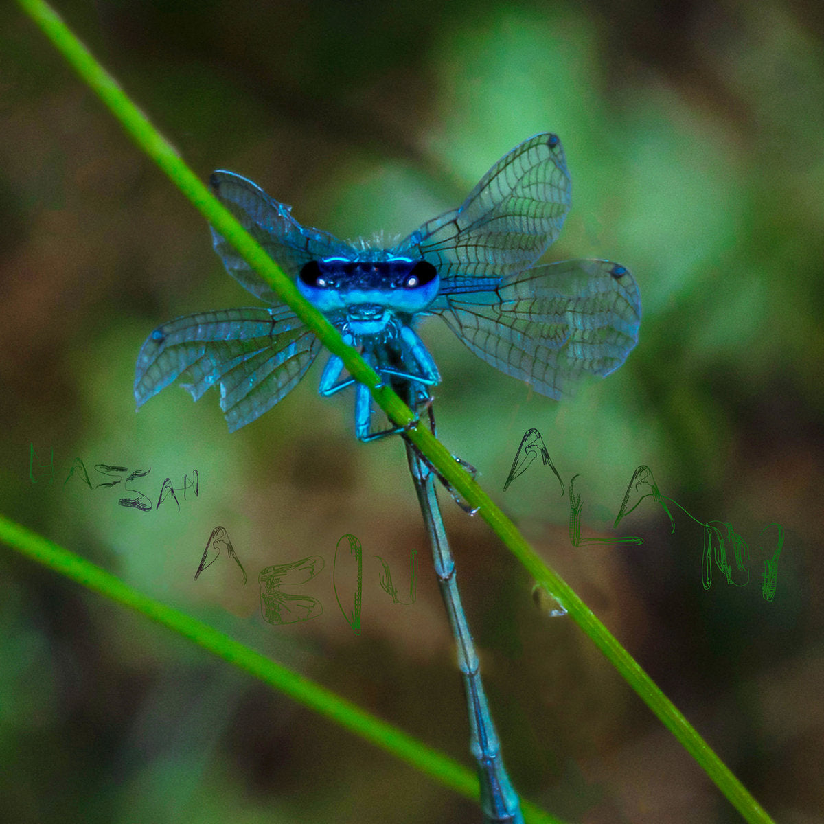 Hassan Abou Alam - Ice