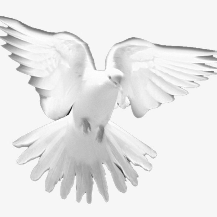 Amadeezy - Bass Boss